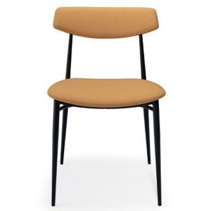 Stella Side Chair 4