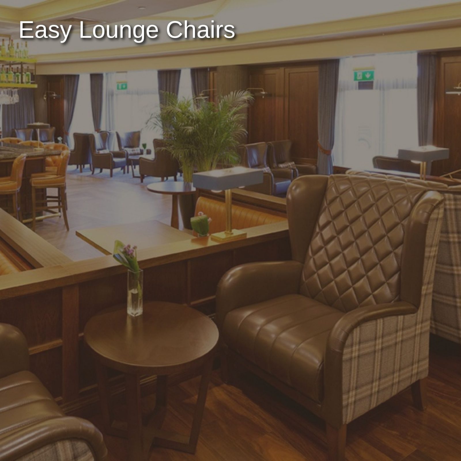 Easy Lounge Chairs 1