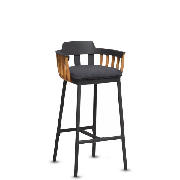 Palm Bar Stool (1)